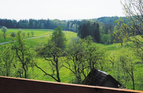 פריאמט Gasthaus Zur Krone חדר תמונה